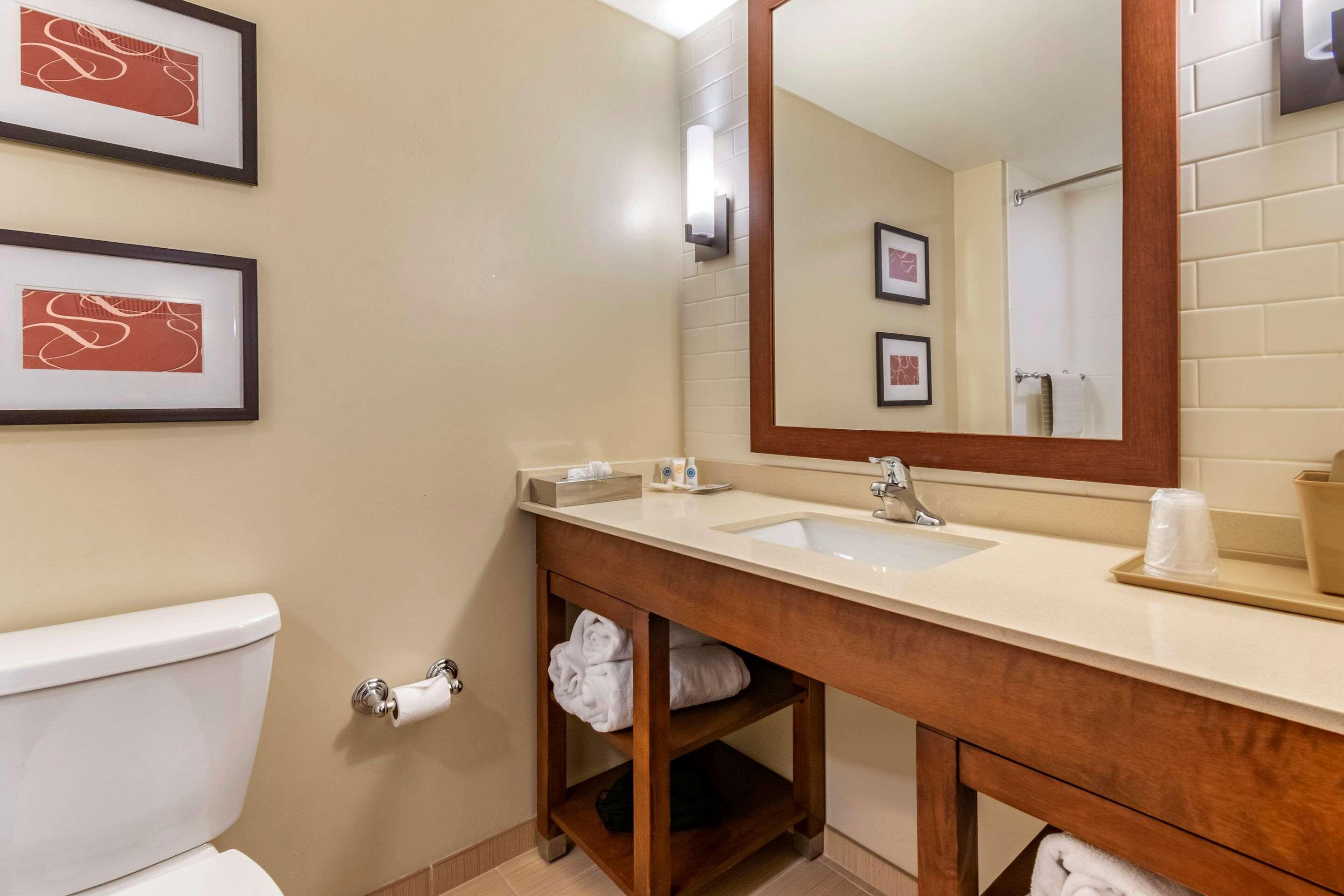 Comfort Suites Manheim - Lancaster Zewnętrze zdjęcie